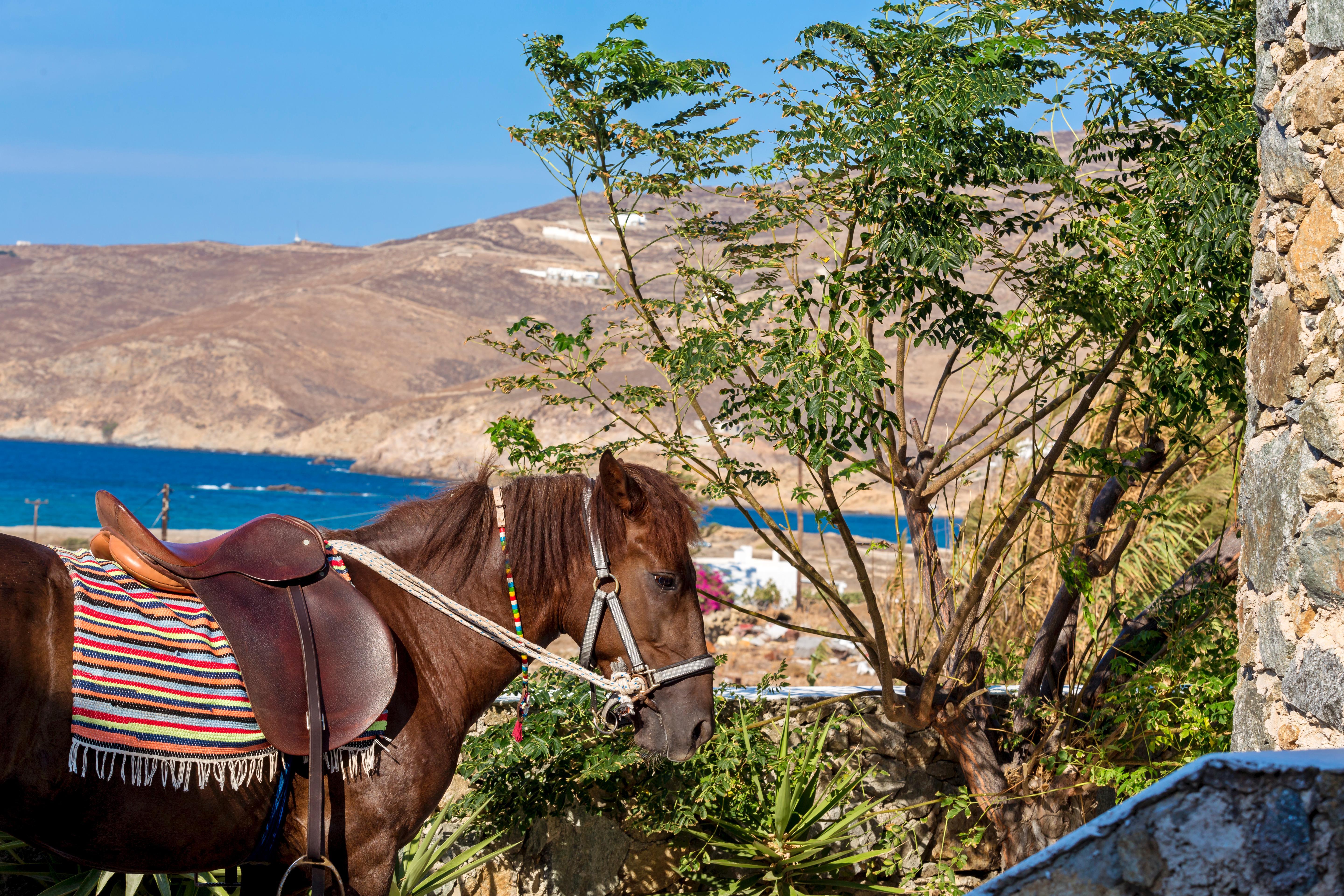 Anamar Mykonos Natural Retreat Ftelia  Exteriér fotografie