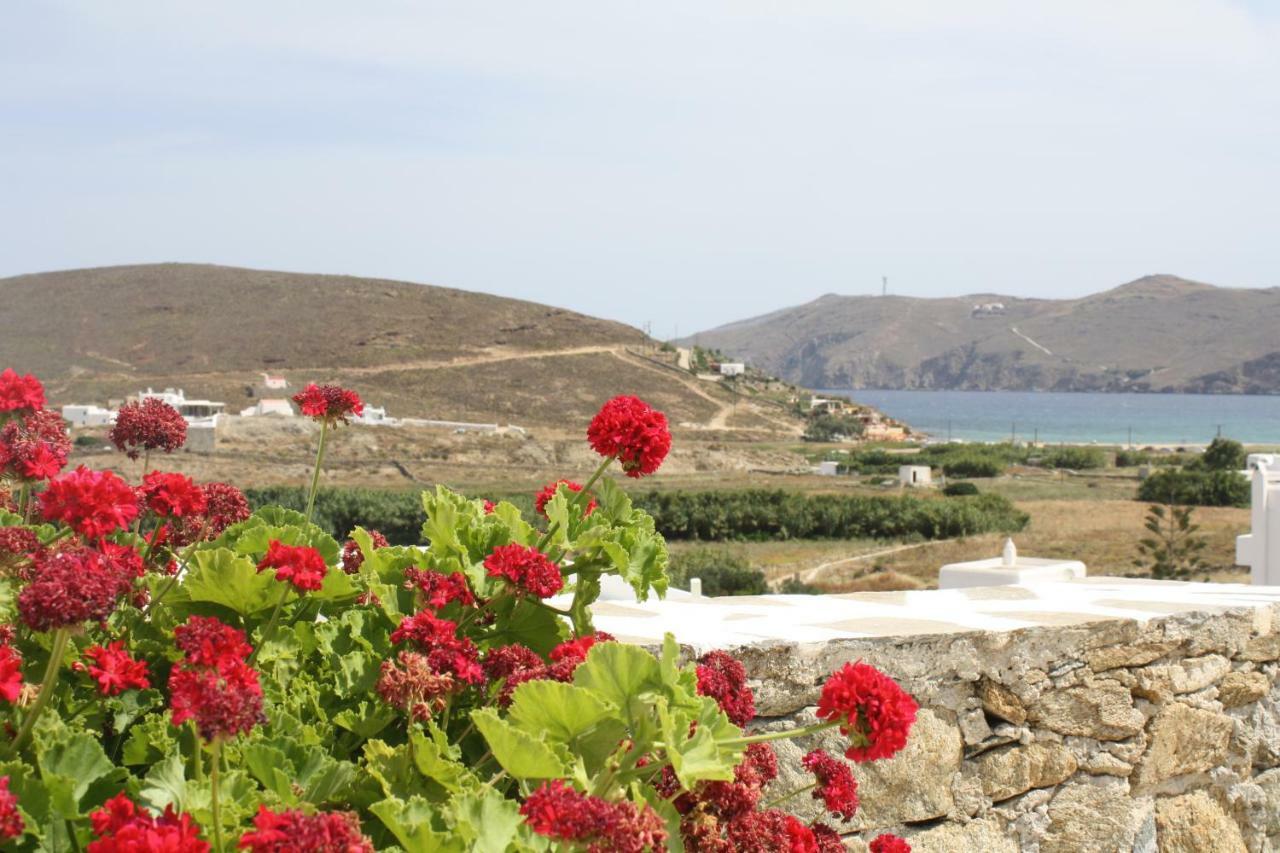 Anamar Mykonos Natural Retreat Ftelia  Exteriér fotografie